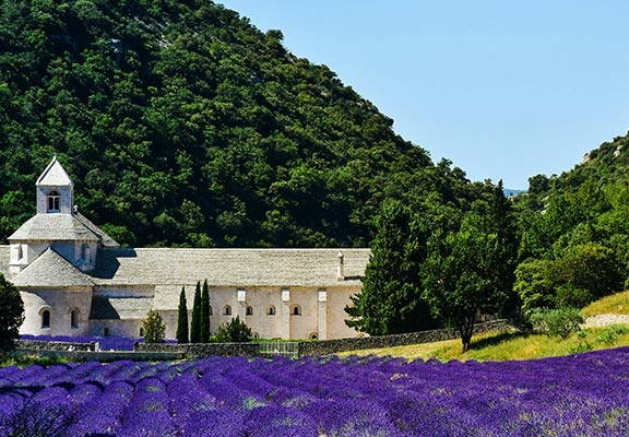 bandeau Vaucluse