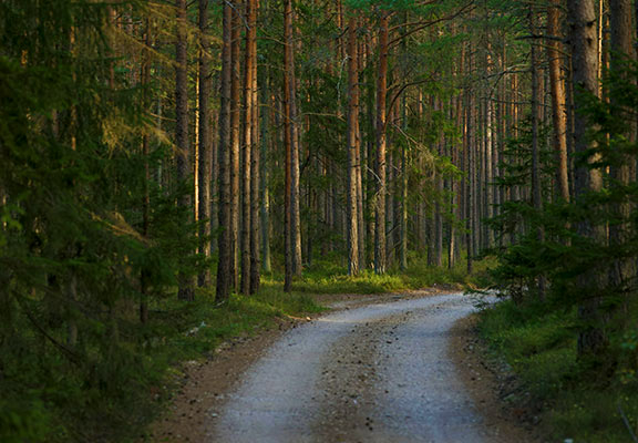 bandeau landes