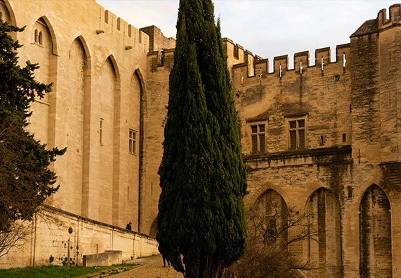 bandeau avignon