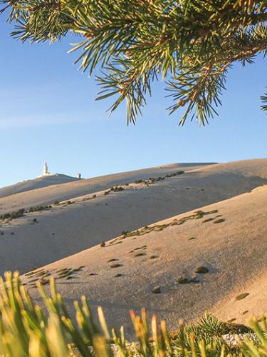 Le Mont Ventoux - Camping naturiste Libranoo 